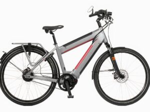 Oxford S-Pedelec D1125